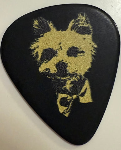 GUITAR PICKS